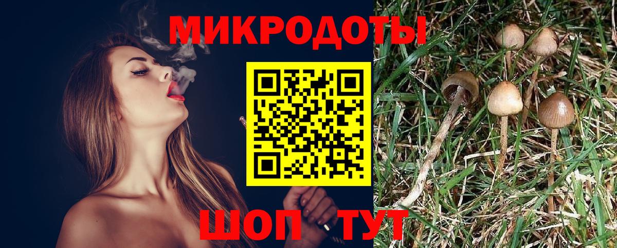 Галлюциногенные грибы прущие грибы Губкинский