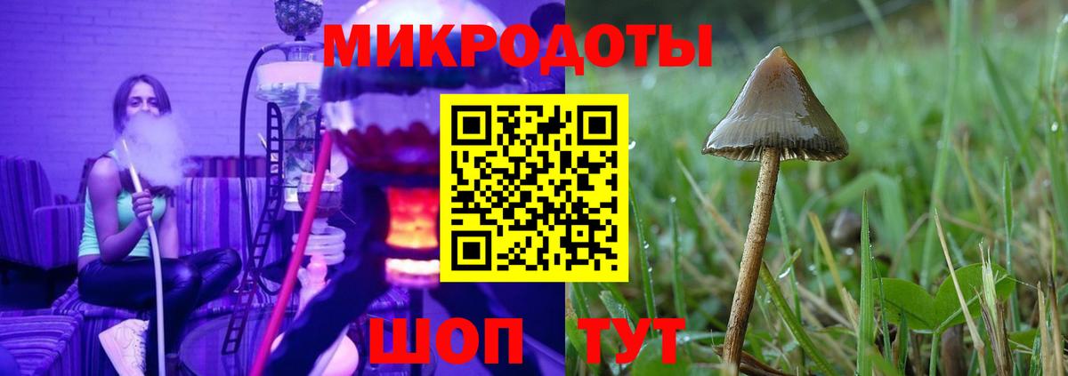 Губкинский  Галлюциногенные грибы Psilocybe  Вход с VPN 